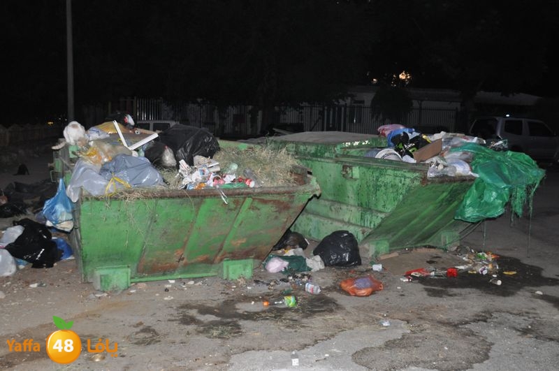 trash lud 907 (6).JPG